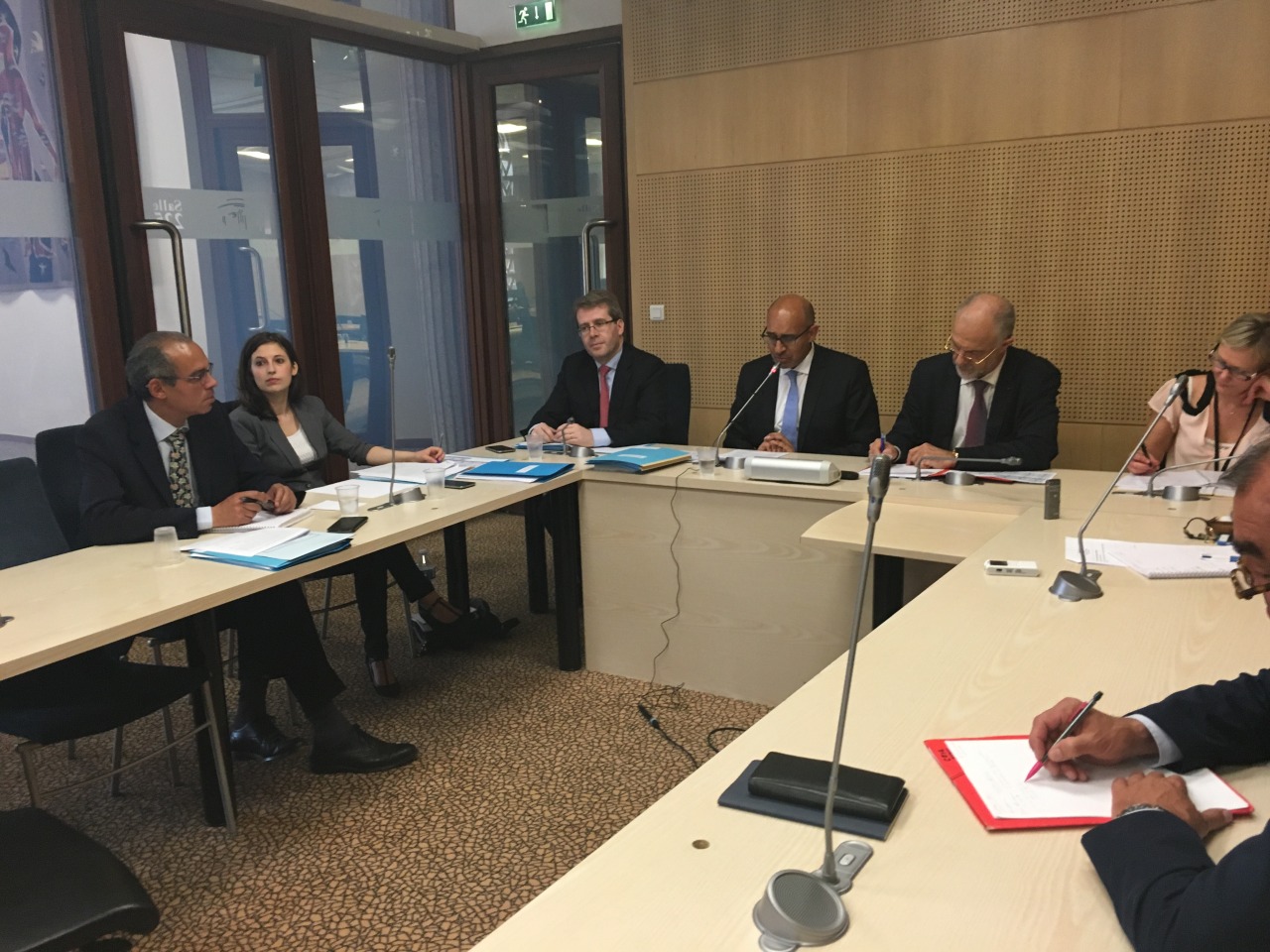 La section des affaires européennes et internationales du CESE recevait en audition M. Harlem Désir, Secrétaire d’État auprès du ministre des Affaires étrangères et du Développement international, chargé des Affaires européennes le 8 juin 2016.